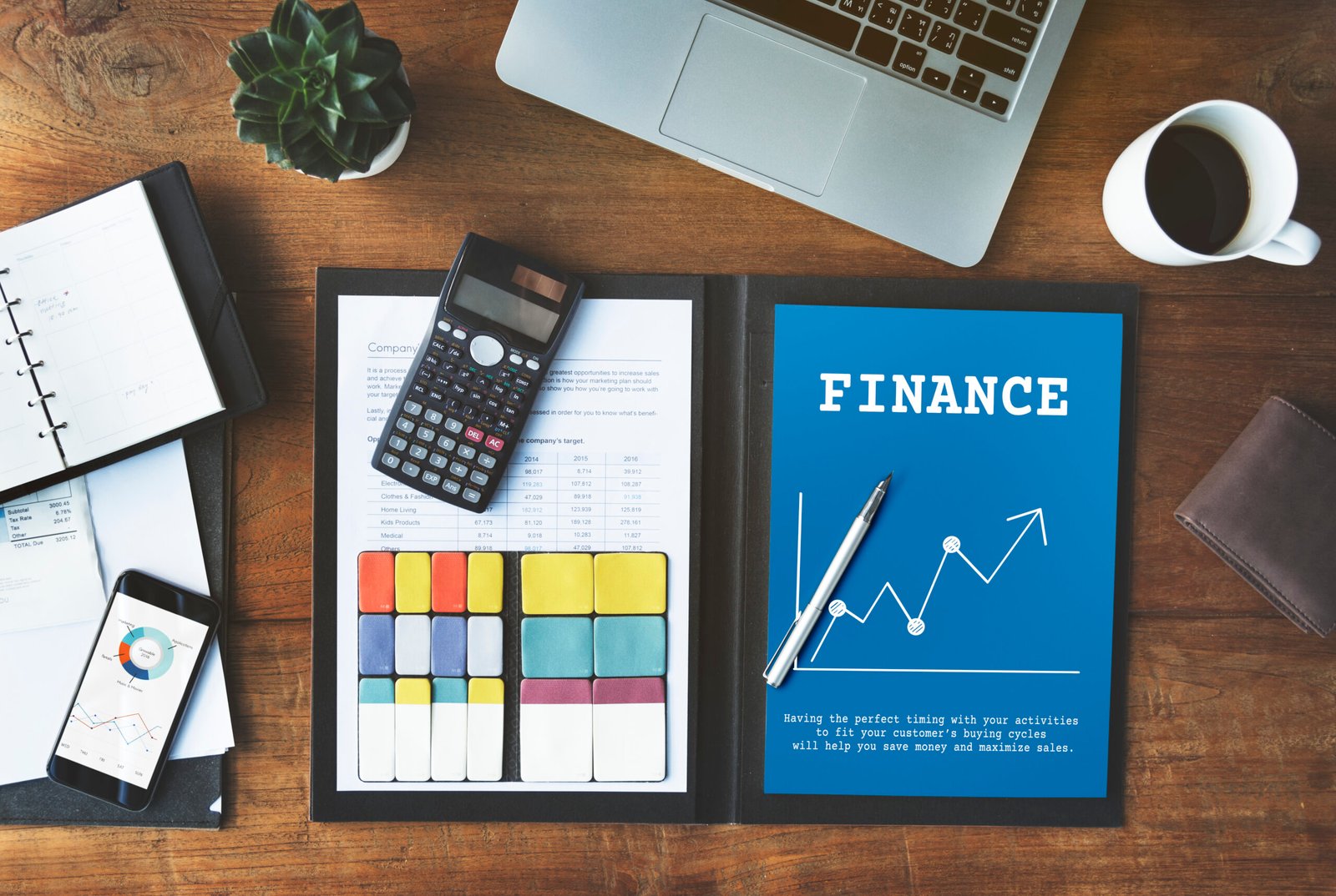 Development Finance
